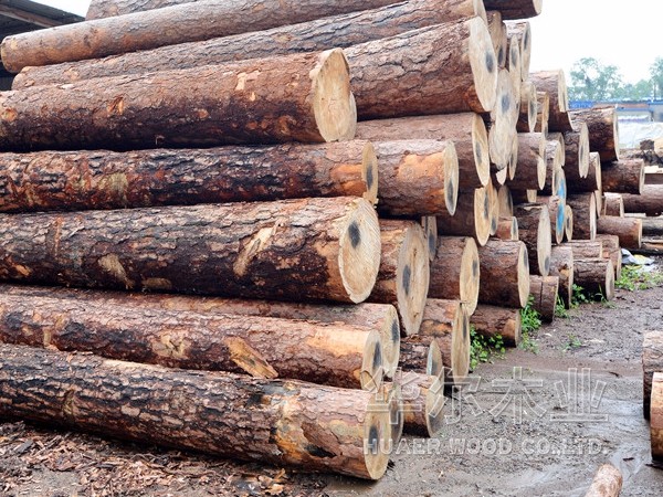 大连木材加工新型木材防腐木的种类主要有哪些？