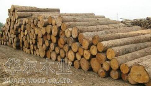 实木家具常用的原木材料都有哪些？
